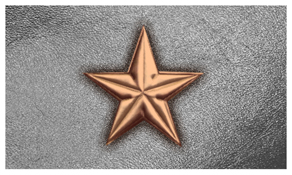 DNSEMP-C-430-BZ-SL Star Bronze-Silver